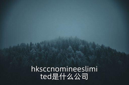 hksccnomineeslimited是什么公司