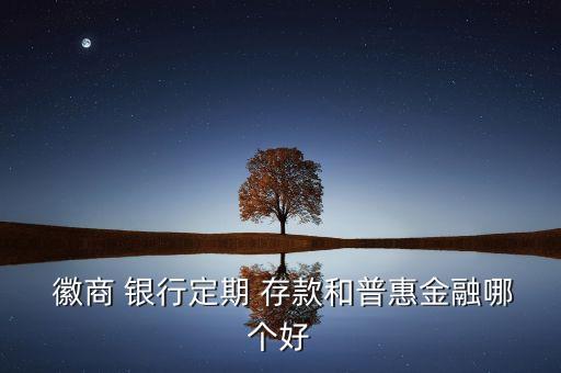  徽商 銀行定期 存款和普惠金融哪個(gè)好