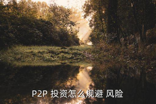 P2P 投資怎么規(guī)避 風(fēng)險(xiǎn)