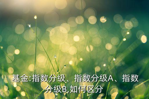  基金:指數(shù)分級(jí)、指數(shù)分級(jí)A、指數(shù)分級(jí)B,如何區(qū)分