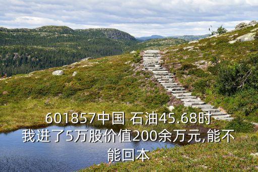 601857中國 石油45.68時我進了5萬股價值200余萬元,能不能回本