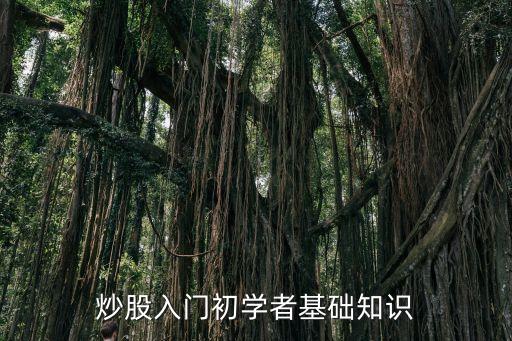 炒股入門初學(xué)者基礎(chǔ)知識