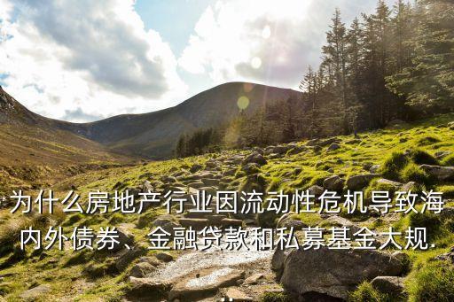 為什么房地產行業(yè)因流動性危機導致海內外債券、金融貸款和私募基金大規(guī)...