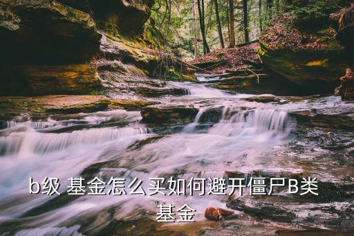 b級基金的風(fēng)險,混合型基金風(fēng)險大嗎