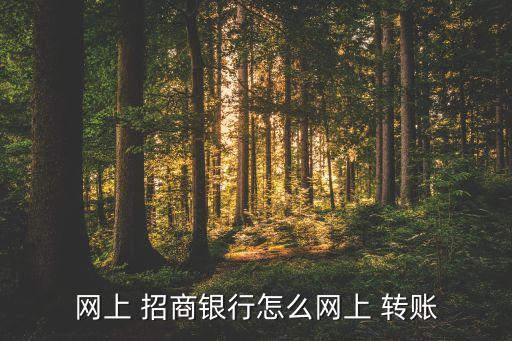 網(wǎng)上 招商銀行怎么網(wǎng)上 轉賬