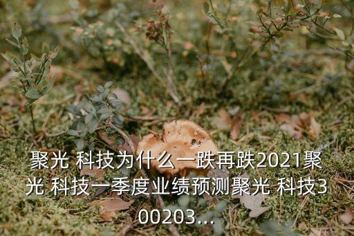 聚光 科技為什么一跌再跌2021聚光 科技一季度業(yè)績預(yù)測聚光 科技300203...