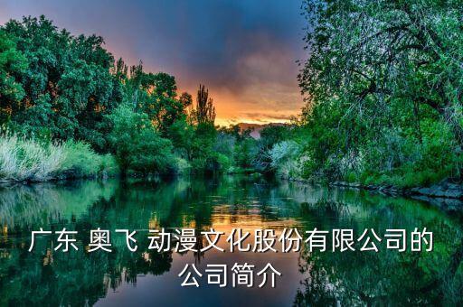 廣東 奧飛 動(dòng)漫文化股份有限公司的公司簡(jiǎn)介