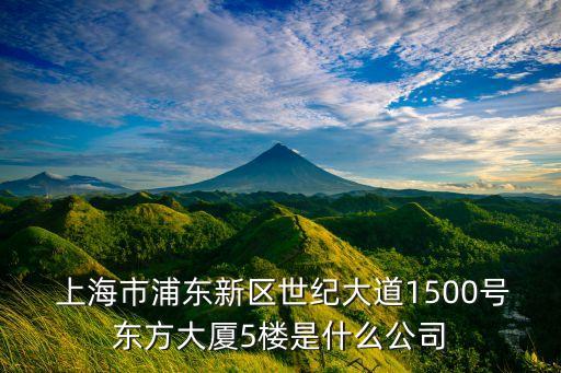  上海市浦東新區(qū)世紀(jì)大道1500號東方大廈5樓是什么公司