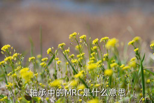  軸承中的MRC是什么意思