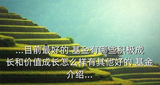 ...目前最好的 基金有哪些積極成長和價(jià)值成長怎么樣有其他好的 基金介紹...