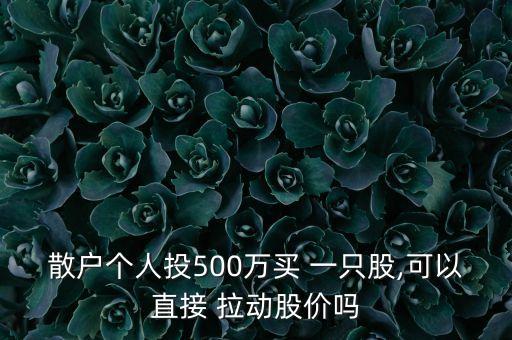 散戶個(gè)人投500萬買 一只股,可以直接 拉動(dòng)股價(jià)嗎