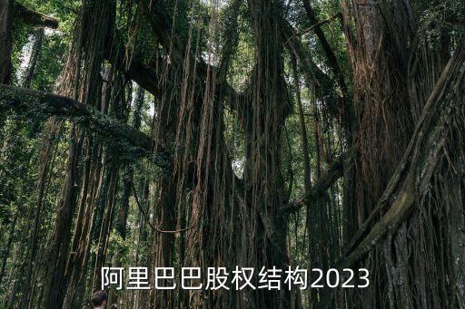  阿里巴巴股權(quán)結(jié)構(gòu)2023