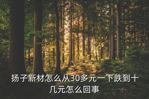  揚(yáng)子新材怎么從30多元一下跌到十幾元怎么回事