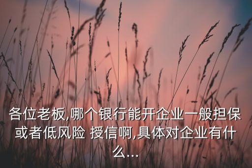 各位老板,哪個銀行能開企業(yè)一般擔保或者低風險 授信啊,具體對企業(yè)有什么...