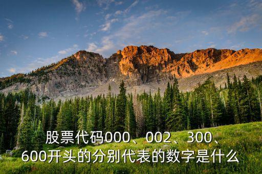  股票代碼000、002、300、600開(kāi)頭的分別代表的數(shù)字是什么