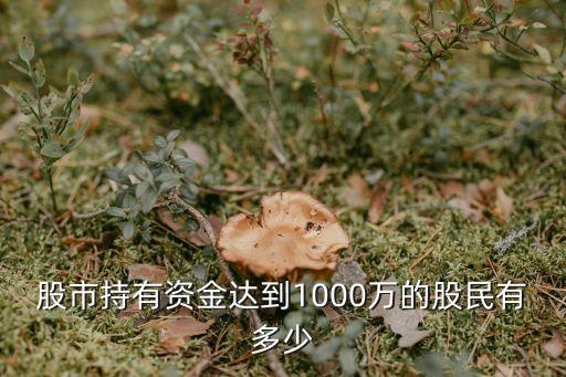 股市持有資金達到1000萬的股民有多少