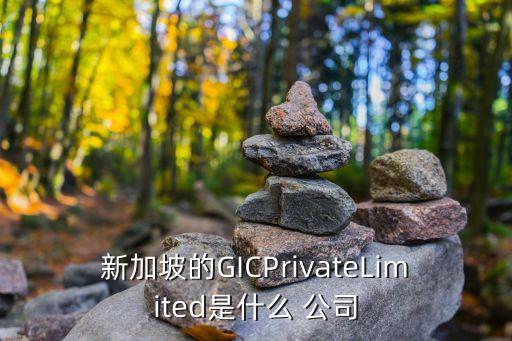 新加坡的GICPrivateLimited是什么 公司