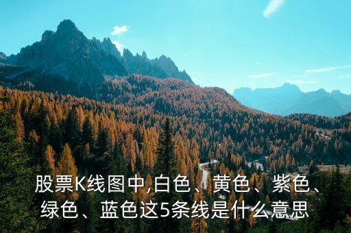  股票K線圖中,白色、黃色、紫色、綠色、藍(lán)色這5條線是什么意思