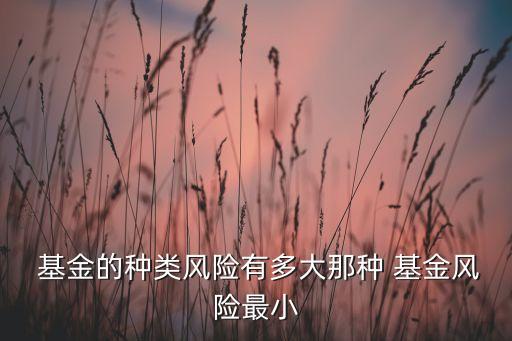  基金的種類風(fēng)險(xiǎn)有多大那種 基金風(fēng)險(xiǎn)最小