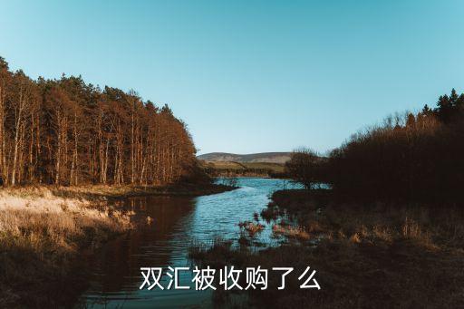 轉(zhuǎn)讓河南投資公司,銀行債務(wù)轉(zhuǎn)讓給投資公司