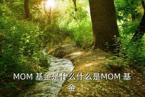 MOM 基金是什么什么是MOM 基金