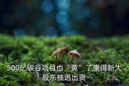 中安信科技有限公司朱大為,安信納米生物科技(珠海)有限公司