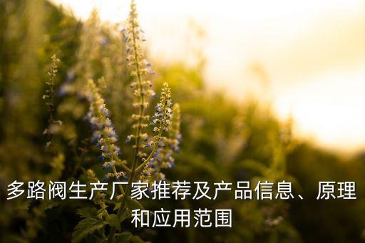 多路閥生產(chǎn)廠家推薦及產(chǎn)品信息、原理和應(yīng)用范圍