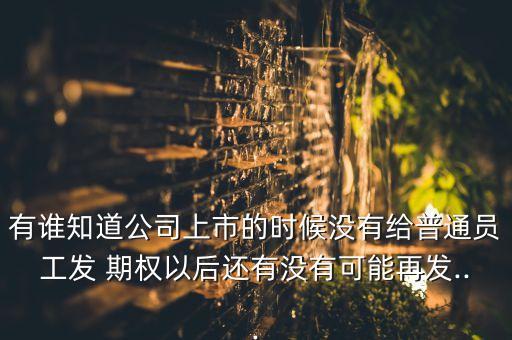 有誰知道公司上市的時候沒有給普通員工發(fā) 期權(quán)以后還有沒有可能再發(fā)...