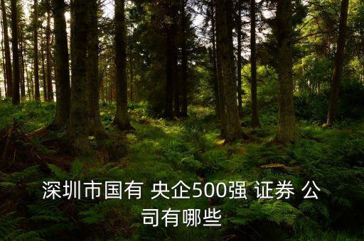 深圳市國有 央企500強(qiáng) 證券 公司有哪些