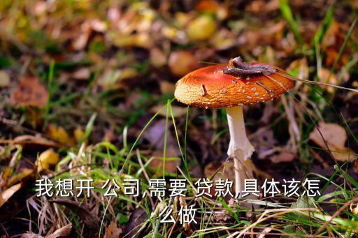 開貸款公司銀行對(duì)接,說是和銀行對(duì)接的貸款平臺(tái)合法嗎