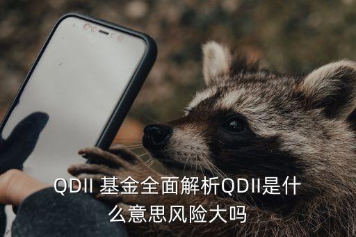 QDII 基金全面解析QDII是什么意思風險大嗎