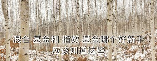 混合 基金和 指數(shù) 基金哪個好新手應(yīng)該知道這些