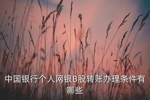 公司到中行開(kāi)b股戶(hù)帶什么資料