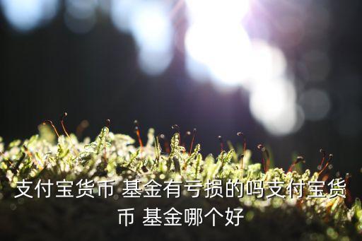 支付寶貨幣 基金有虧損的嗎支付寶貨幣 基金哪個(gè)好