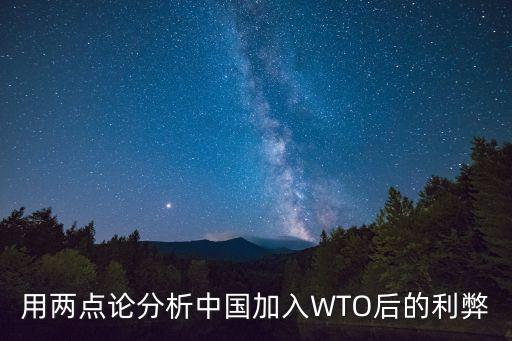 用兩點論分析中國加入WTO后的利弊