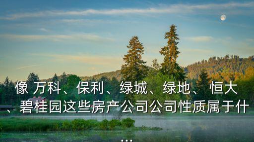 像 萬(wàn)科、保利、綠城、綠地、 恒大、碧桂園這些房產(chǎn)公司公司性質(zhì)屬于什...