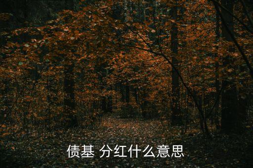 債基 分紅什么意思