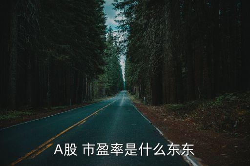 A股 市盈率是什么東東