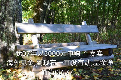 我07年以5000元申購了 嘉實 海外基金,到現(xiàn)在一直沒有動,基金凈值為0.677...