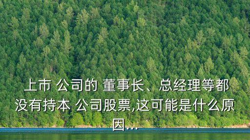  上市 公司的 董事長、總經(jīng)理等都沒有持本 公司股票,這可能是什么原因...