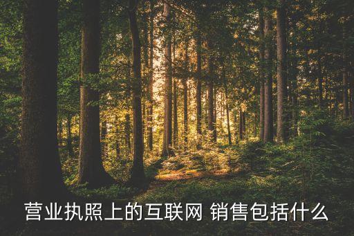 營(yíng)業(yè)執(zhí)照上的互聯(lián)網(wǎng) 銷(xiāo)售包括什么