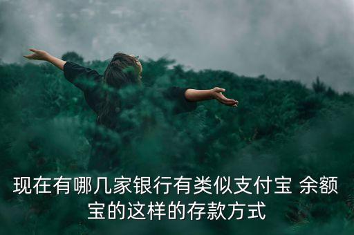 余額寶民生銀行,民生銀行有沒有類似余額寶的產(chǎn)品