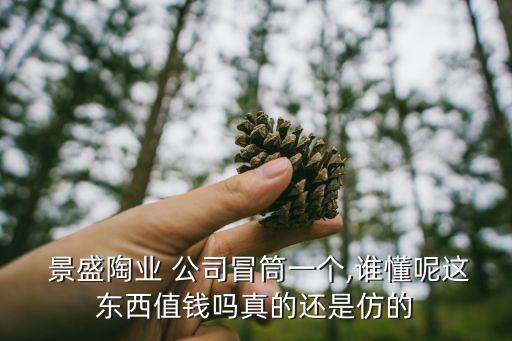  景盛陶業(yè) 公司冒筒一個,誰懂呢這東西值錢嗎真的還是仿的