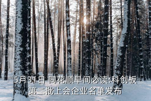 5月31日 同花順早間必讀:科創(chuàng)板第二批上會企業(yè)名單發(fā)布