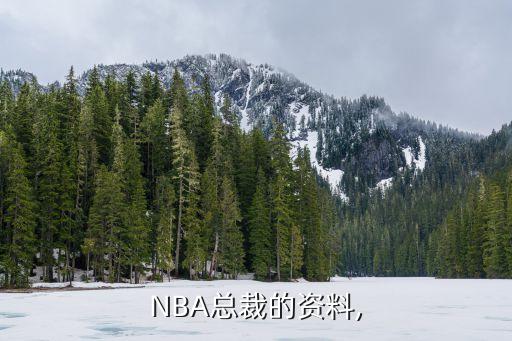 NBA總裁的資料,