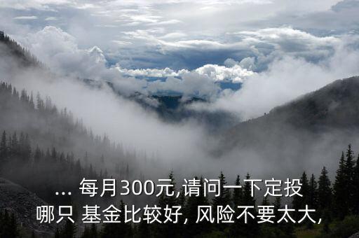 ... 每月300元,請問一下定投哪只 基金比較好, 風險不要太大,