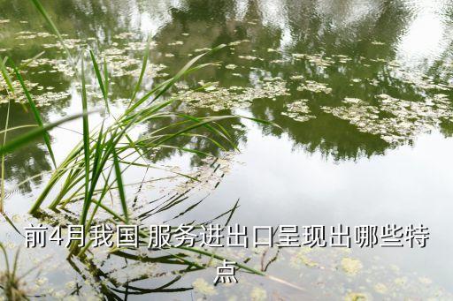 前4月我國 服務(wù)進(jìn)出口呈現(xiàn)出哪些特點(diǎn)