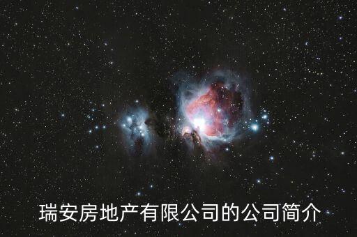  瑞安房地產(chǎn)有限公司的公司簡介