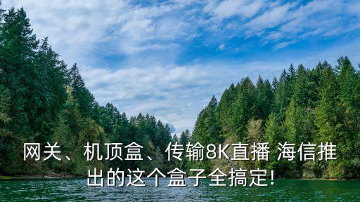 網(wǎng)關、機頂盒、傳輸8K直播 海信推出的這個盒子全搞定!