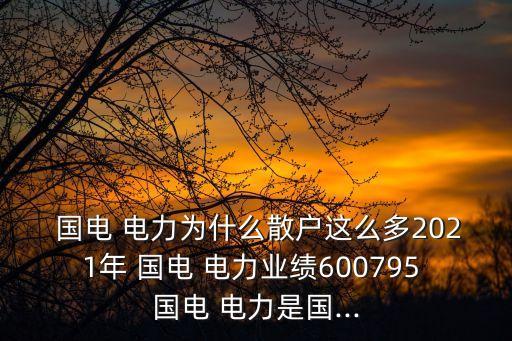  國(guó)電 電力為什么散戶這么多2021年 國(guó)電 電力業(yè)績(jī)600795 國(guó)電 電力是國(guó)...